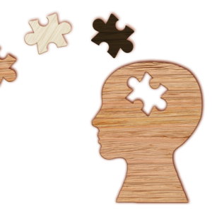 a wooden cut out of a head's side profile with a puzzle piece cut out and loose puzzle pieces next to it