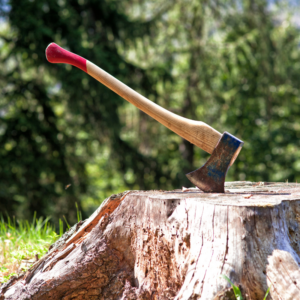 an ax stuck into a large tree stump with woods in the background