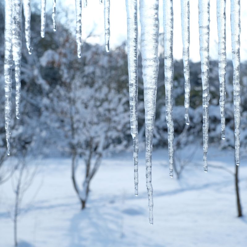 around 10 icicles hanging down with a snowy landscape in the background